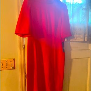 Brand new dress , Ivy and blu with tags